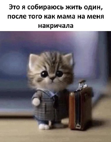 Это я собираюсь жить один, после того как мама на меня накричала