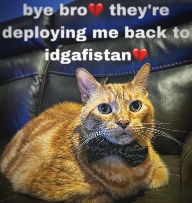 bye Бго they're deploying me back to idgafistan 3