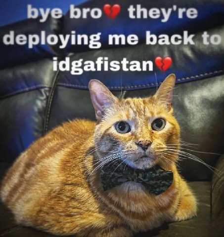 bye Бго they're deploying me back to idgafistan 3