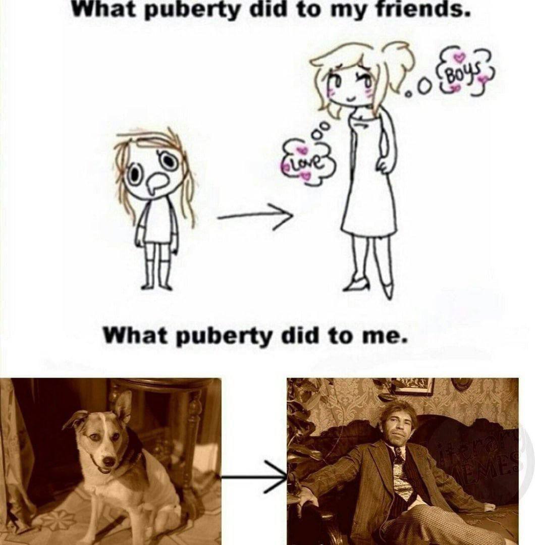 What puberty did to my friends. What puberty did to me. 7%