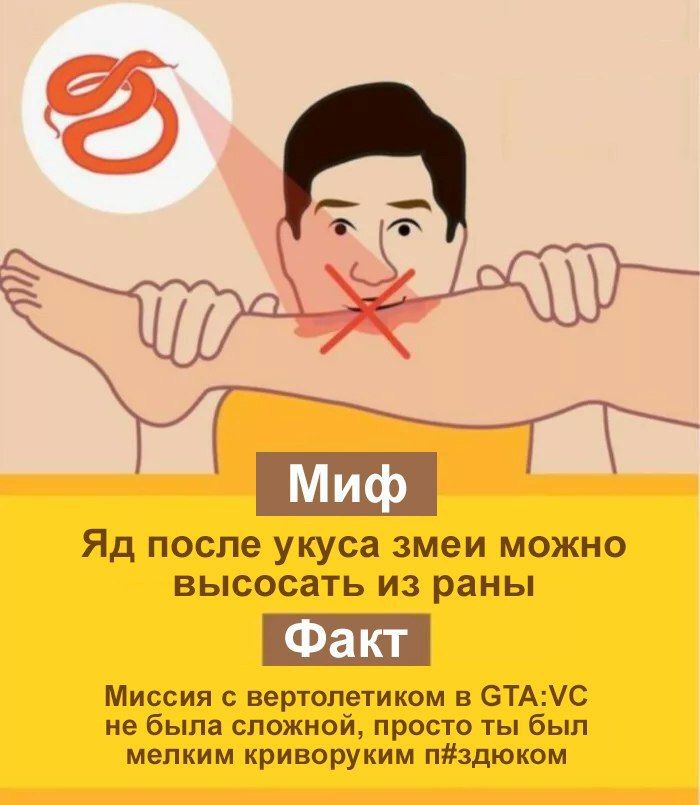 после укуса змеи можно высосать из раны Факт Миссия с вертолетиком в GTA:VC не была сложной, просто ты был мелким криворуким п#здюком
