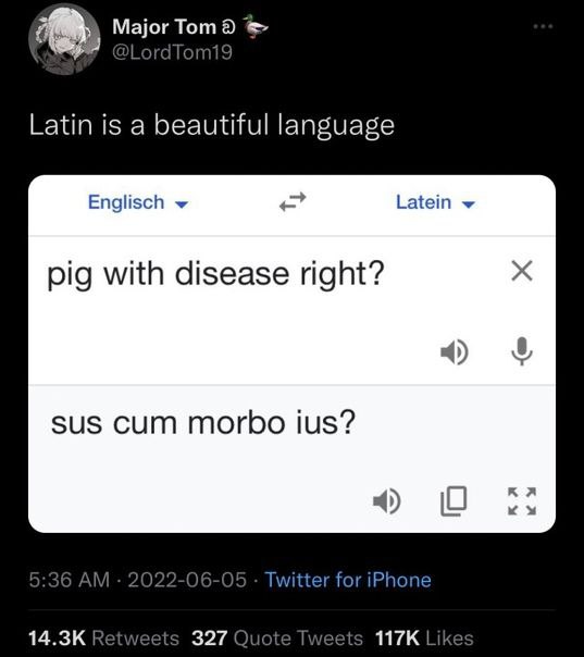 2% Major Tom Latin is a beautiful language Englisch Latein pig with disease right? 4) $и$ сит morbo ius? 4) О Twitter for iPhone 327