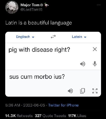 2% Major Tom Latin is a beautiful language Englisch Latein pig with disease right? 4) $и$ сит morbo ius? 4) О Twitter for iPhone 327