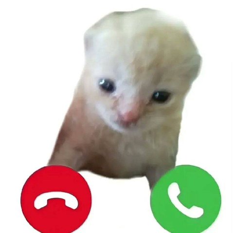 — re