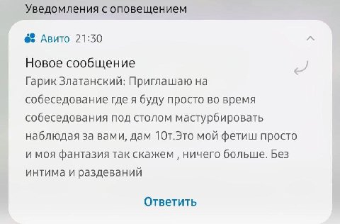 Уведомления с оповещением Авито 21:30 Новое сообщение Гарик Златанский: Приглашаю на собеседование где я буду просто во время собеседования под столом мастурбировать наблюдая за вами, дам 10т.Это мой 