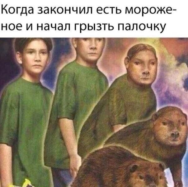 Когда закончил есть мороже- ное и начал грызть палочку