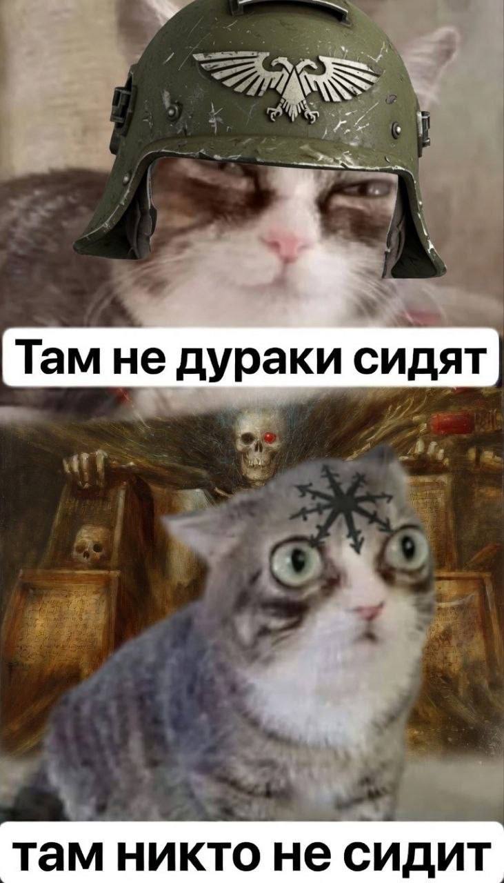 Там не дураки сидят там никто не сидит