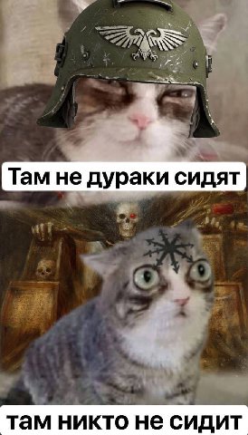 Там не дураки сидят там никто не сидит