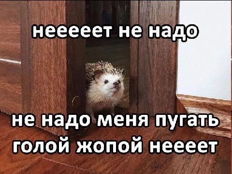 нееееет не надо не надо меня пугать голой жопой неееет