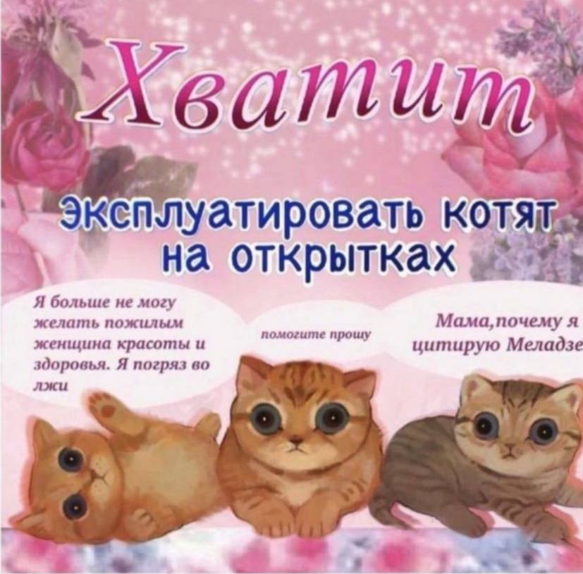 me KOTS на открытках Я больше не могу желать пожилым я женщина красоты и помогите прошу цитирую Меладзе здоровья. Я погряз во лжи