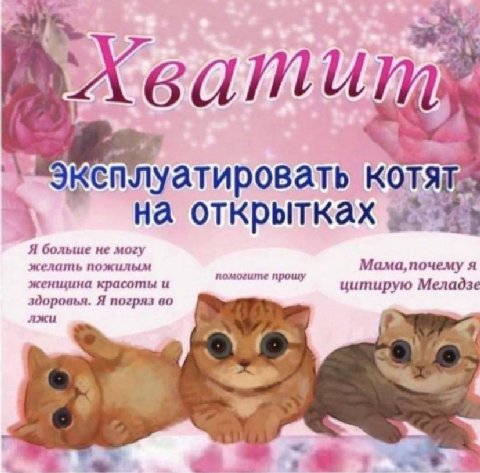 me KOTS на открытках Я больше не могу желать пожилым я женщина красоты и помогите прошу цитирую Меладзе здоровья. Я погряз во лжи