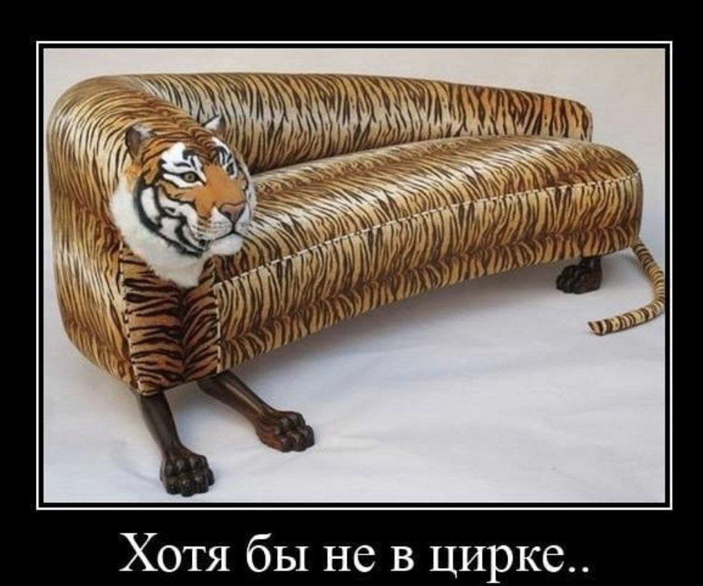 a hig Хотя бы He Хотя бы не в цирке..