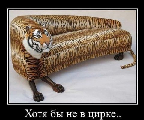 a hig Хотя бы He Хотя бы не в цирке..