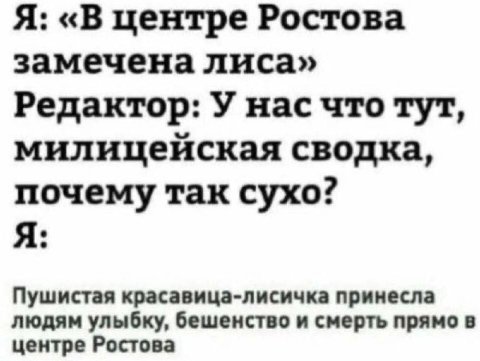 Я: «В центре Ростова замечена лиса» Редактор: У нас что тут, милицейская сводка, почему так сухо? Я: Пушистая красавица-лисичка принесла людям улыбку, бешенство и смерть прямо в центре Ростова