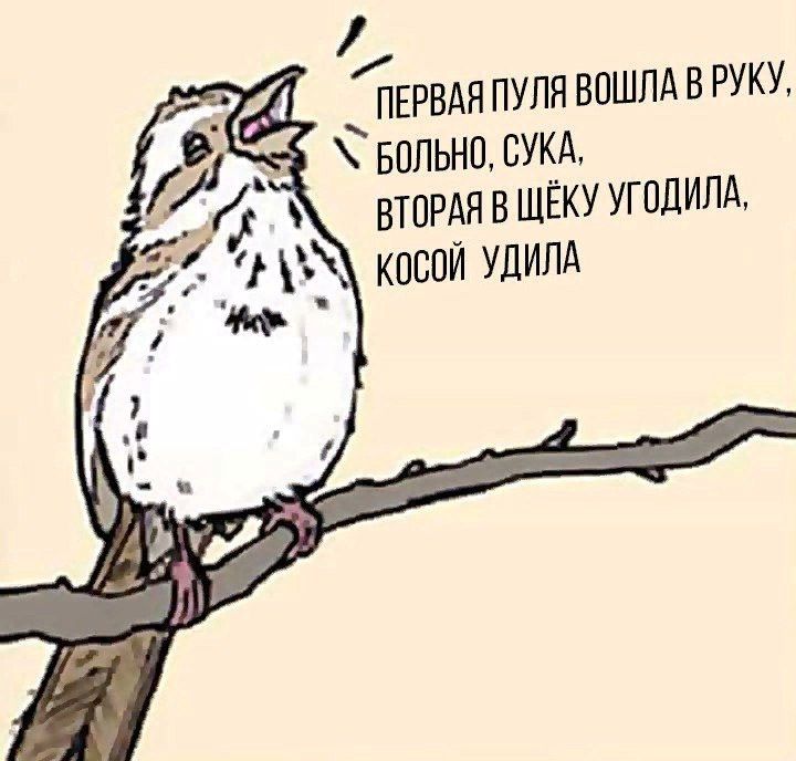ПЕРВАЯ ПУЛЯ ВОШЛА В РУКУ СУКА, ВТОРАЯ В ЩЕКУ УГОДИЛА, КОСОЙ УДИЛА