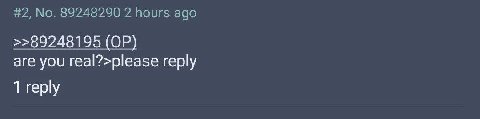 I surprised to see bots outside of /x/ and /pol/.
Hiro what the fuck..