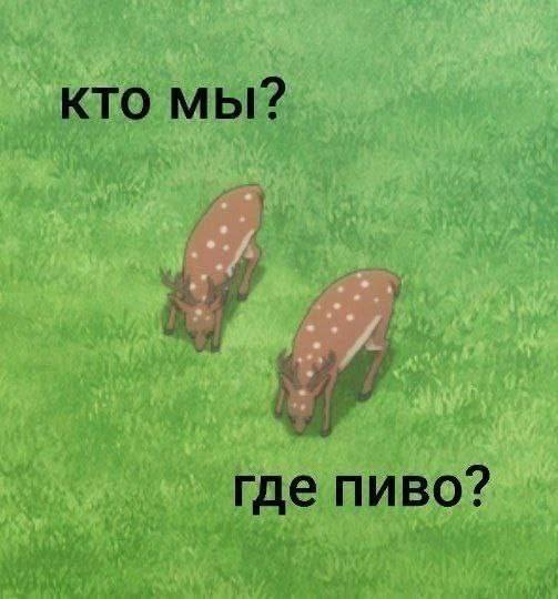 кто мы? где пиво?