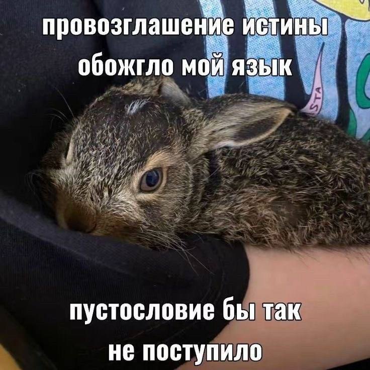 провозглашение истины обожгло мой язык пустословие бы так не поступило
