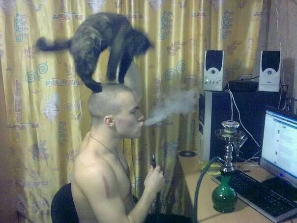 Я a i