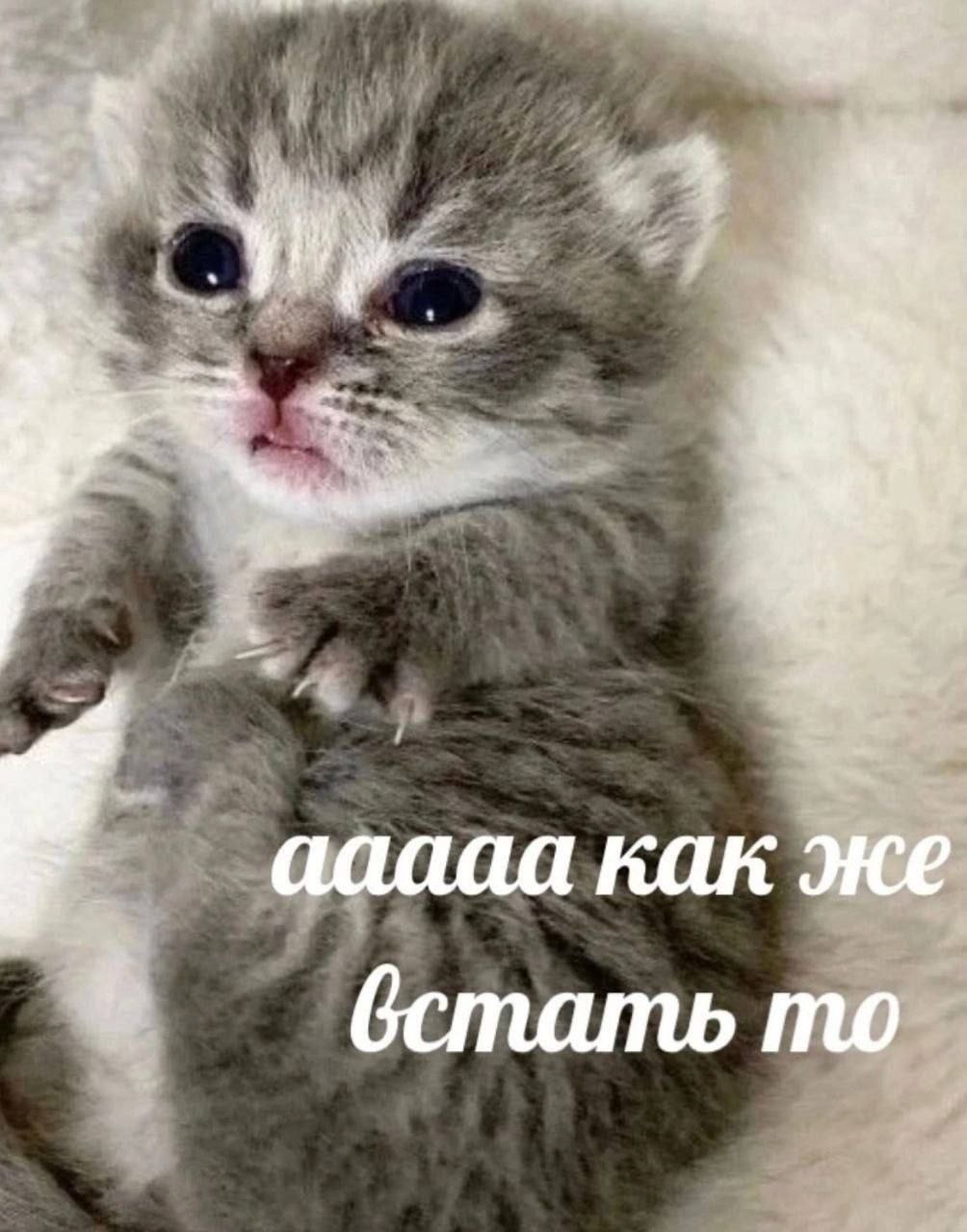 ааааа как же стать то