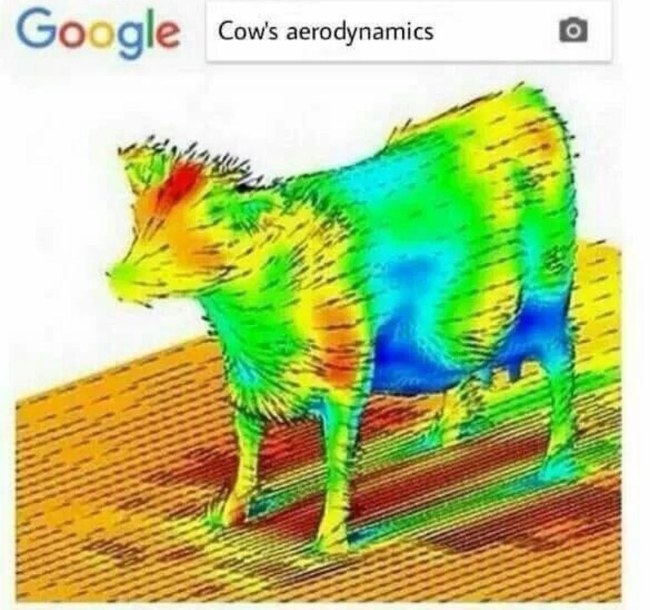 Google Cow's aerodynamics