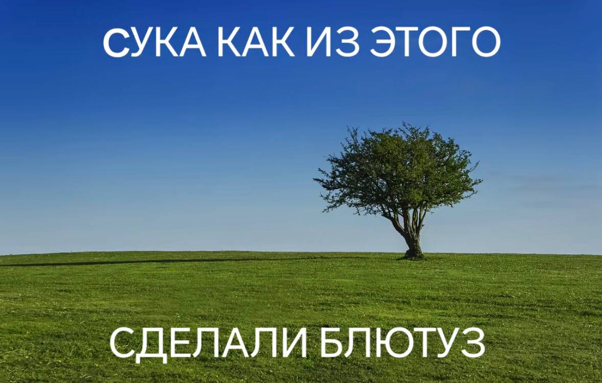 СУКА КАК ИЗ ЭТОГО СДЕЛАЛИ БЛЮТУЗ