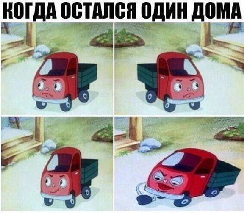 КОГДА ОСТАЛСЯ ОДИН ДОМА