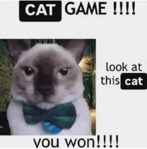 GAME look at cat vou