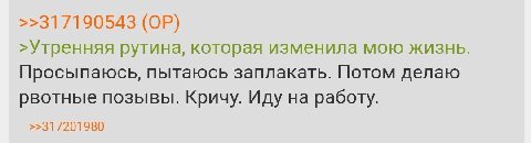 >>317190543 >Утренняя рутина, которая изменила мою жизнь. Просыпаюсь, пытаюсь заплакать. Потом делаю рвотные позывы. Кричу. Иду на работу. >>31/201980