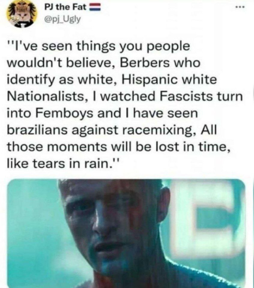 the Fat "I've seen things you people wouldn't believe, Berbers who identify as white, Hispanic white Nationalists, watched Fascists turn into Femboys and have seen brazilians against racemixing, All t