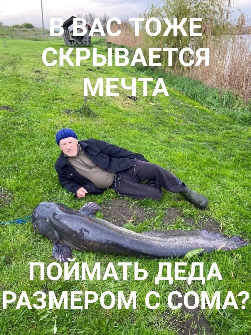 14 я СКРЫВАЕТСЯ 1’: ПОЙ АТЬ ДЕДА. РАЗМЕРОМ с А?