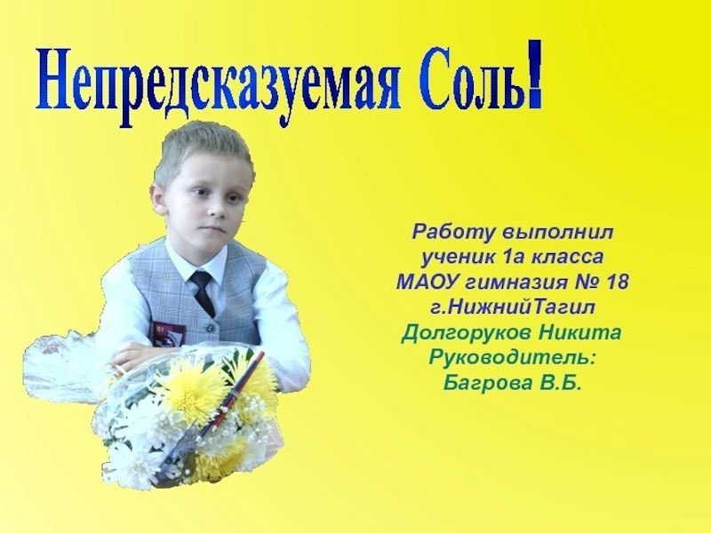 Непредеказуемая Солы Работу выполнил ученик 1a класса MAOY гимназия 18 г.НижнийТагил Долгоруков Никита Руководитель: 4 Багрова