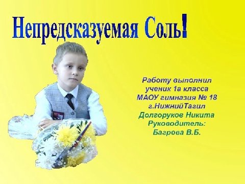 Непредеказуемая Солы Работу выполнил ученик 1a класса MAOY гимназия 18 г.НижнийТагил Долгоруков Никита Руководитель: 4 Багрова