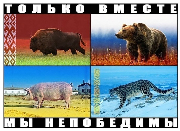 только вместе мы непобедимы