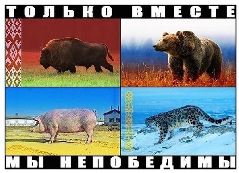 только вместе мы непобедимы