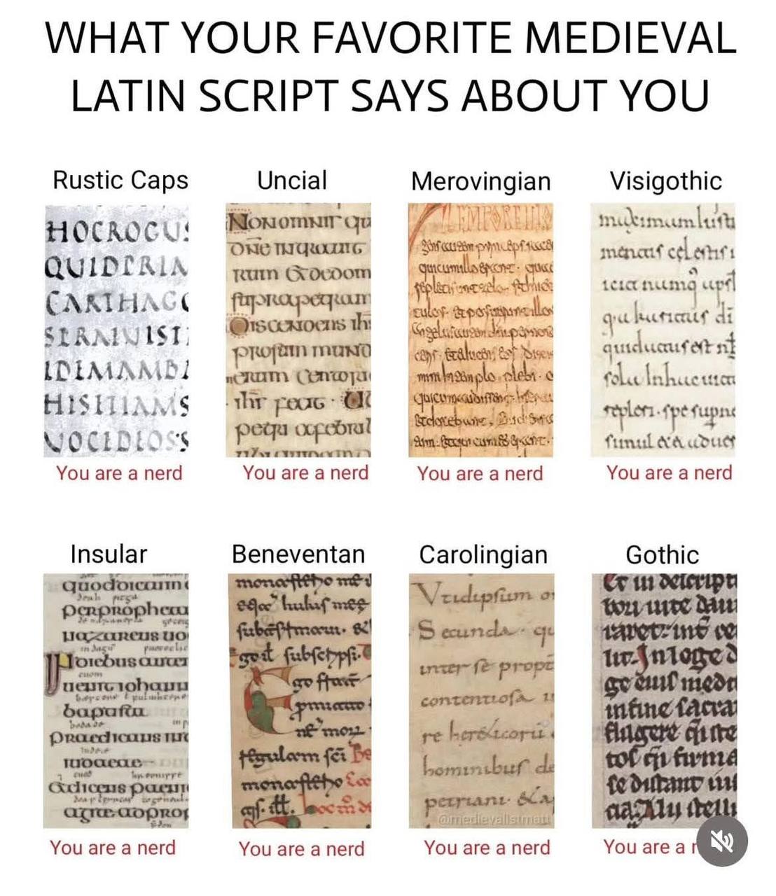 WHAT YOUR FAVORITE MEDIEVAL LATIN SCRIPT SAYS ABOUT YOU Rustic Caps Uncial Merovingian Visigothic up CARI fou funul You are a nerd You are a nerd You are a nerd You are a nerd Insular Beneventan Carol