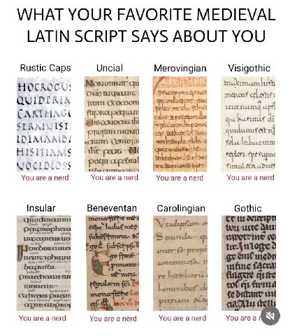 WHAT YOUR FAVORITE MEDIEVAL LATIN SCRIPT SAYS ABOUT YOU Rustic Caps Uncial Merovingian Visigothic up CARI fou funul You are a nerd You are a nerd You are a nerd You are a nerd Insular Beneventan Carol