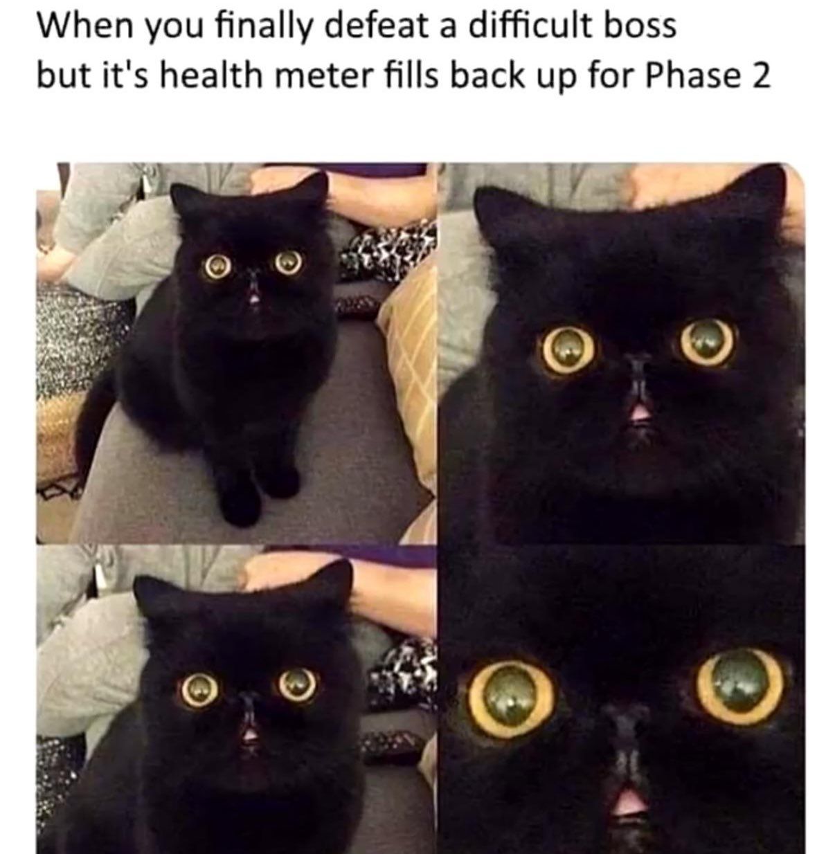 When you finally defeat a difficult boss but it's health meter fills back up for Phase 2