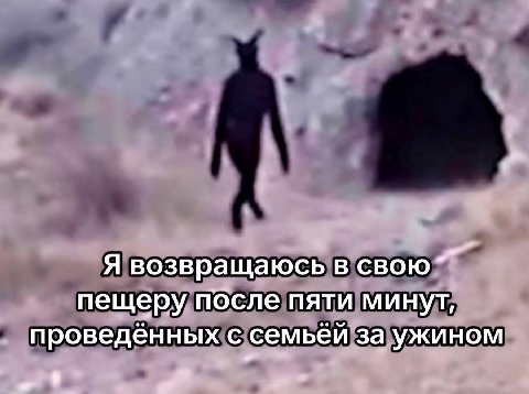 Я возвращаюсь в свою пещеру после пяти минут, проведенных с семьей за ужином