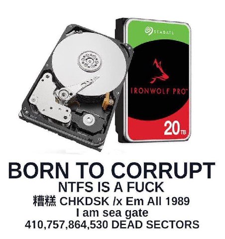 20: BORN CORRUPT NTFS IS A FUCK CHKDSK All 1989 sea gate 410,757,864,530 DEAD SECTORS