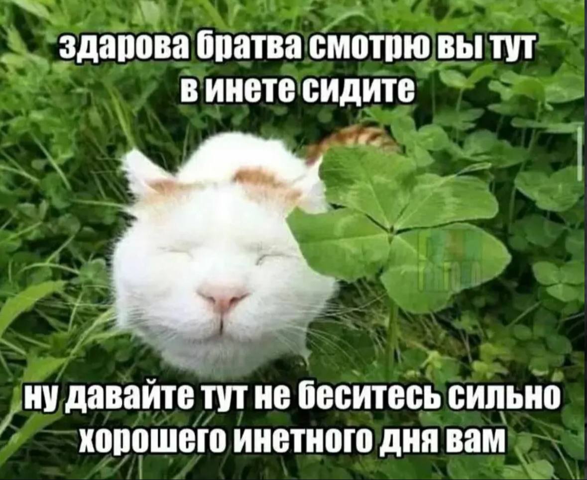 здарова братва смотрю вы тут в инете сидите ну давайте тут не беситесь сильно хорошего инетного дня вам