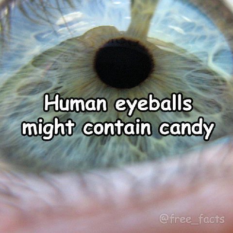 Human eyeballs might contain candy