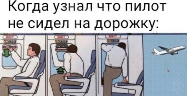 Когда узнал что пилот не сидел на дорожку: