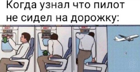 Когда узнал что пилот не сидел на дорожку: