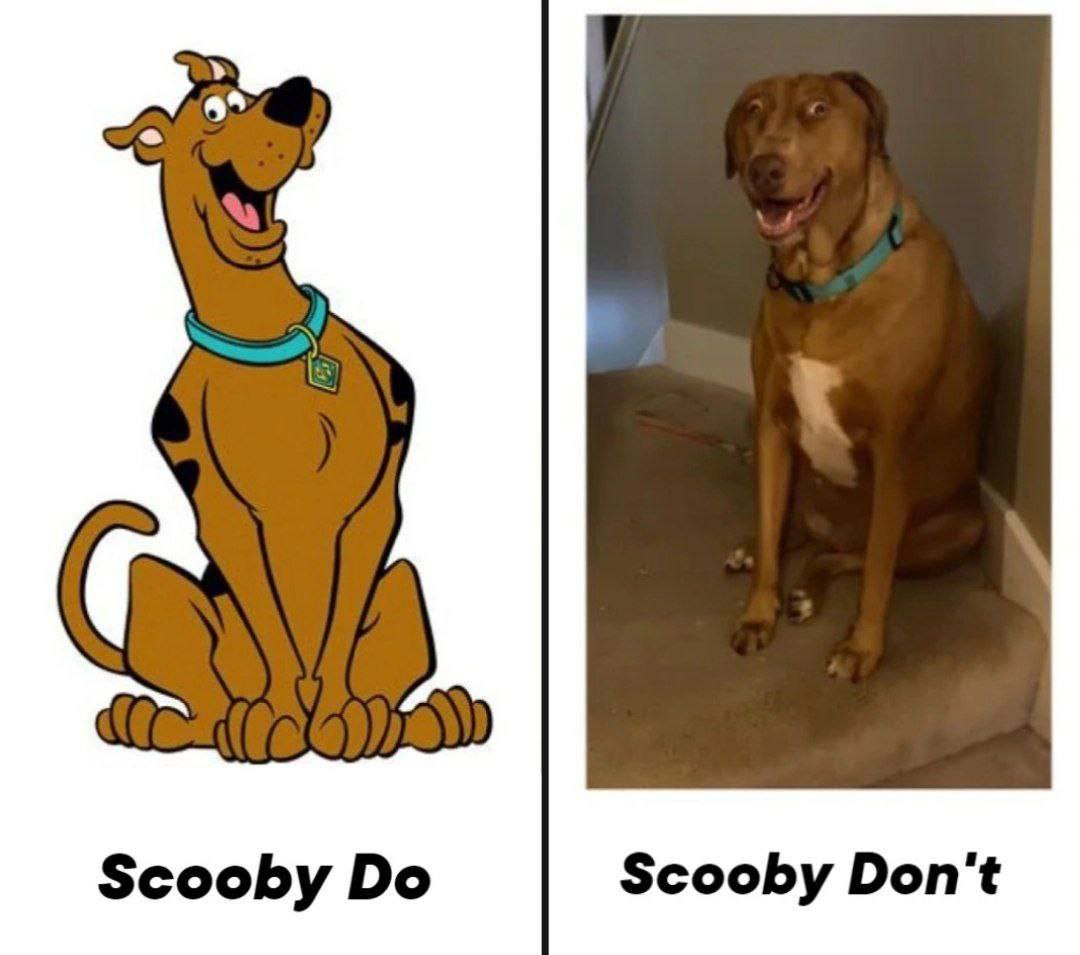 $сооБу Во Scooby