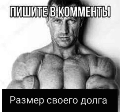 ПИШИТЕ Размер своего долга