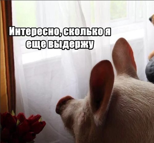 Интересно! SSS