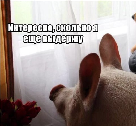 Интересно! SSS
