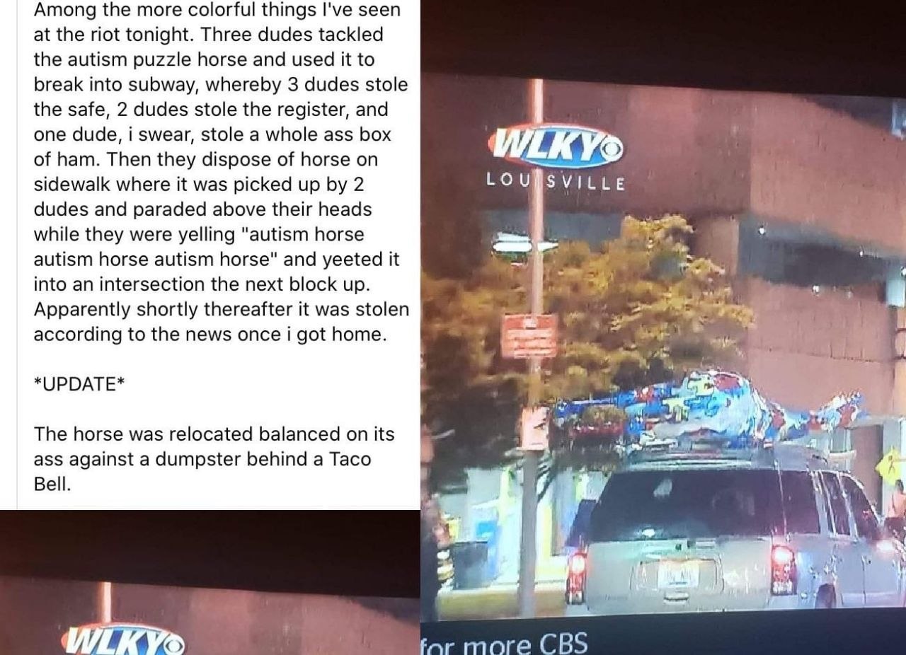 Among the more colorful things I've seen at the riot tonight. Three dudes tackled the autism puzzle horse and used it to break into subway, whereby 3 dudes stole the safe, 2 dudes stole the register, 