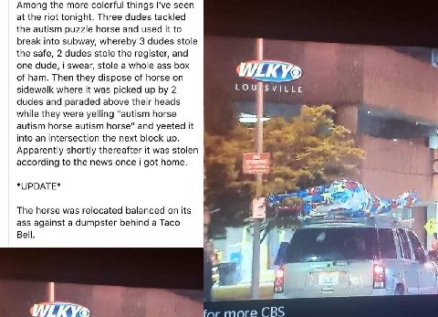 Among the more colorful things I've seen at the riot tonight. Three dudes tackled the autism puzzle horse and used it to break into subway, whereby 3 dudes stole the safe, 2 dudes stole the register, 